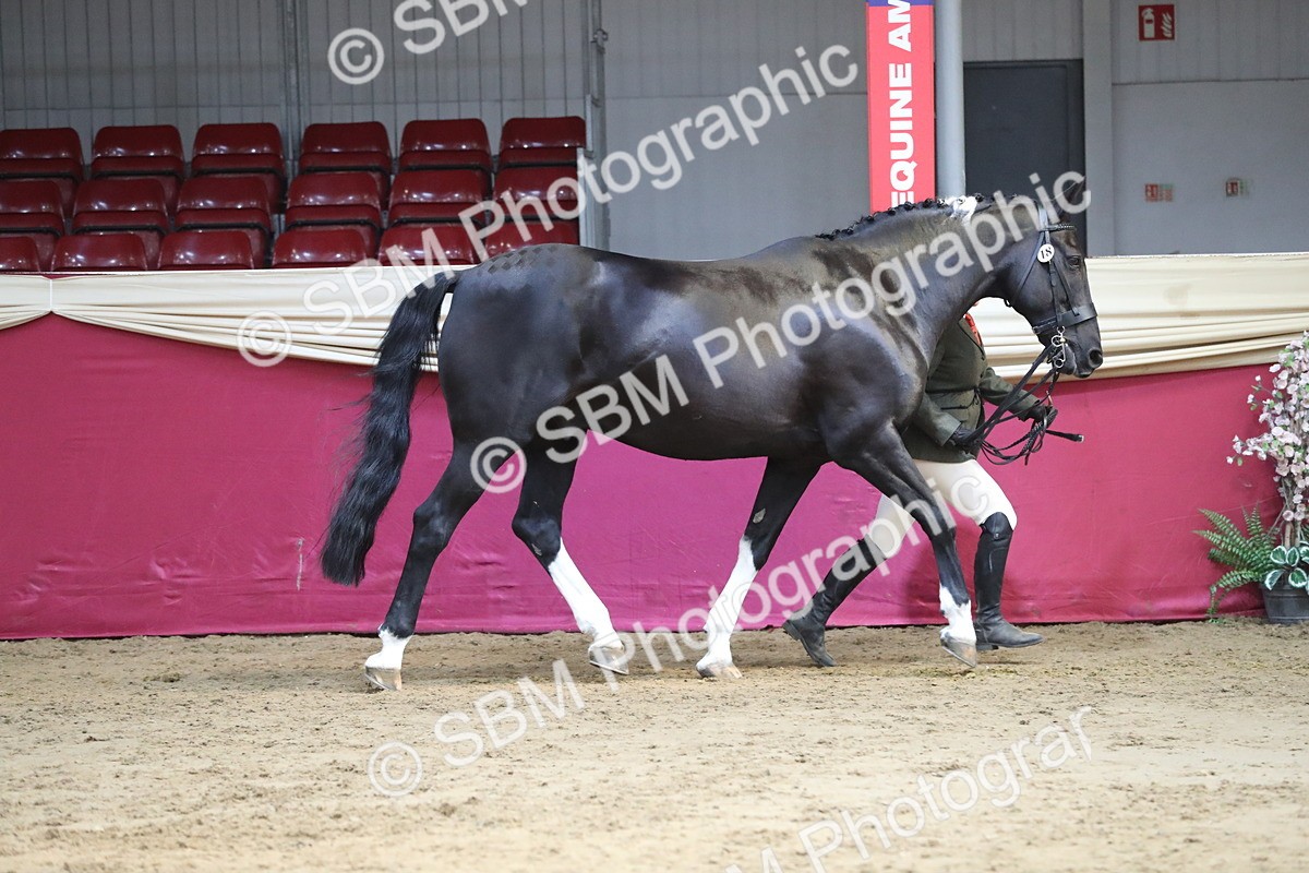 SBM_06550 - Regional IH Champ