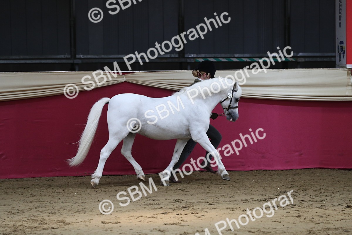 SBM_04931