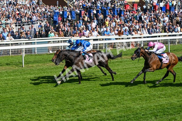 160525-Race 4-Rebels Romance-6718 - Race 4 3.45pm Boodles Yorkshire Cup Stakes