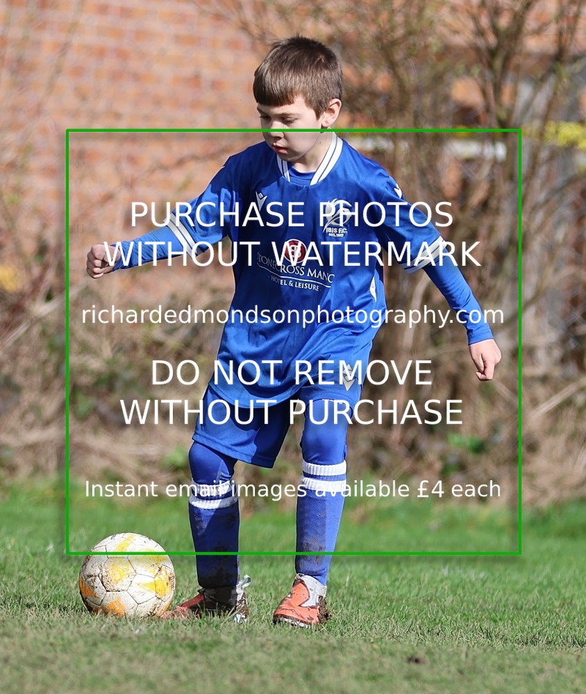 533A8210 - Ibis Under 8's (14/3/26)