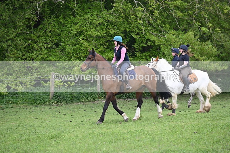 WJ6_3100 - A camera