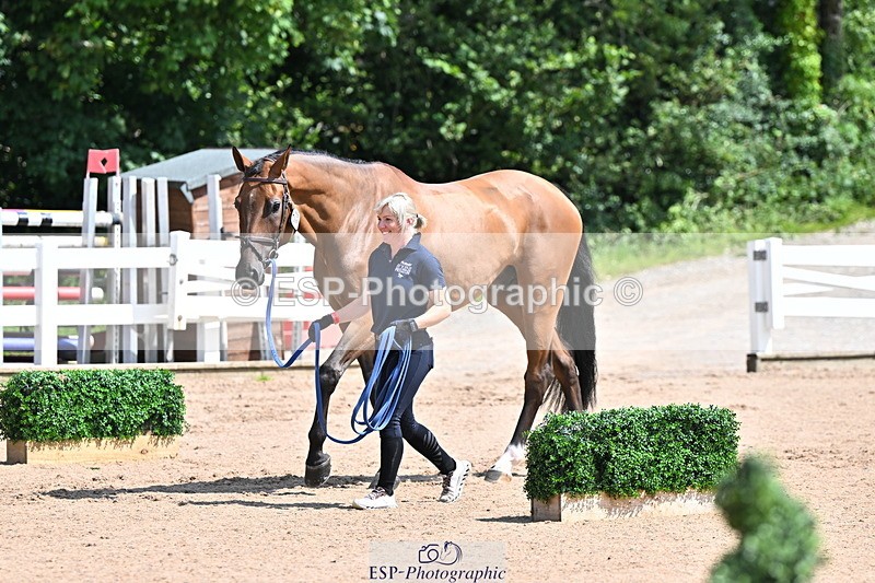 240718A-105239-00986 - Trot Up 11am to 12pm