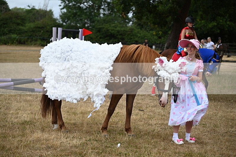 WJ6_8754 - Class 11 Fancy Dress