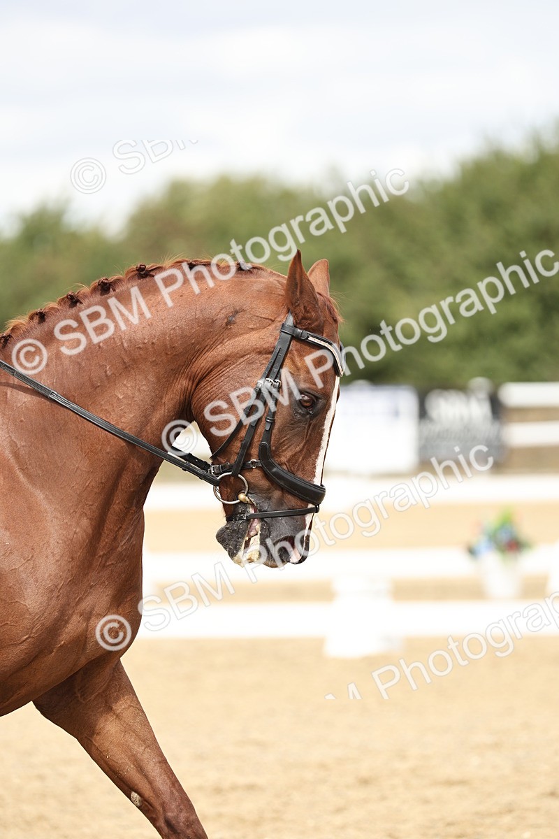 SBM_007795 - Class 26 - FEI PSG Silver