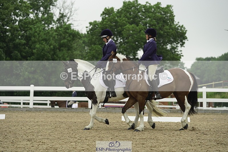 230708A-122208-00360 - BRC Pairs 5