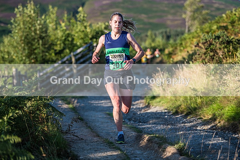 Latrigg-446 - Not Round Latrigg Race Wednesday 14th August 2024