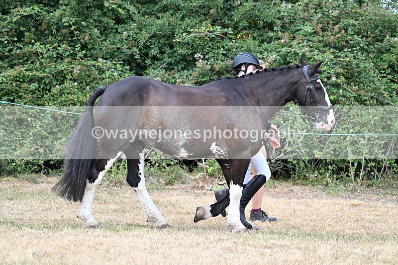 WJ7_1832 - Class 4a Prettiest Mare 14.2hh and over hand