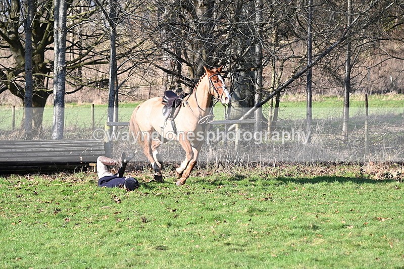 WJ6_8247 - Kerryn