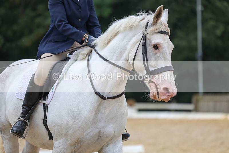 3E7A9321 - Class 4: Prelim 3 2024 - Section B