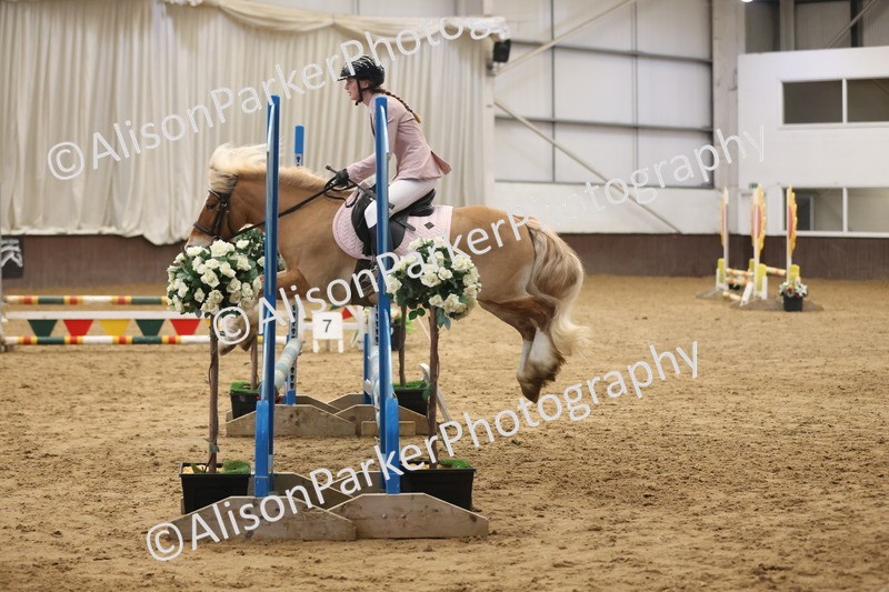 20260314-0817 - 60cm