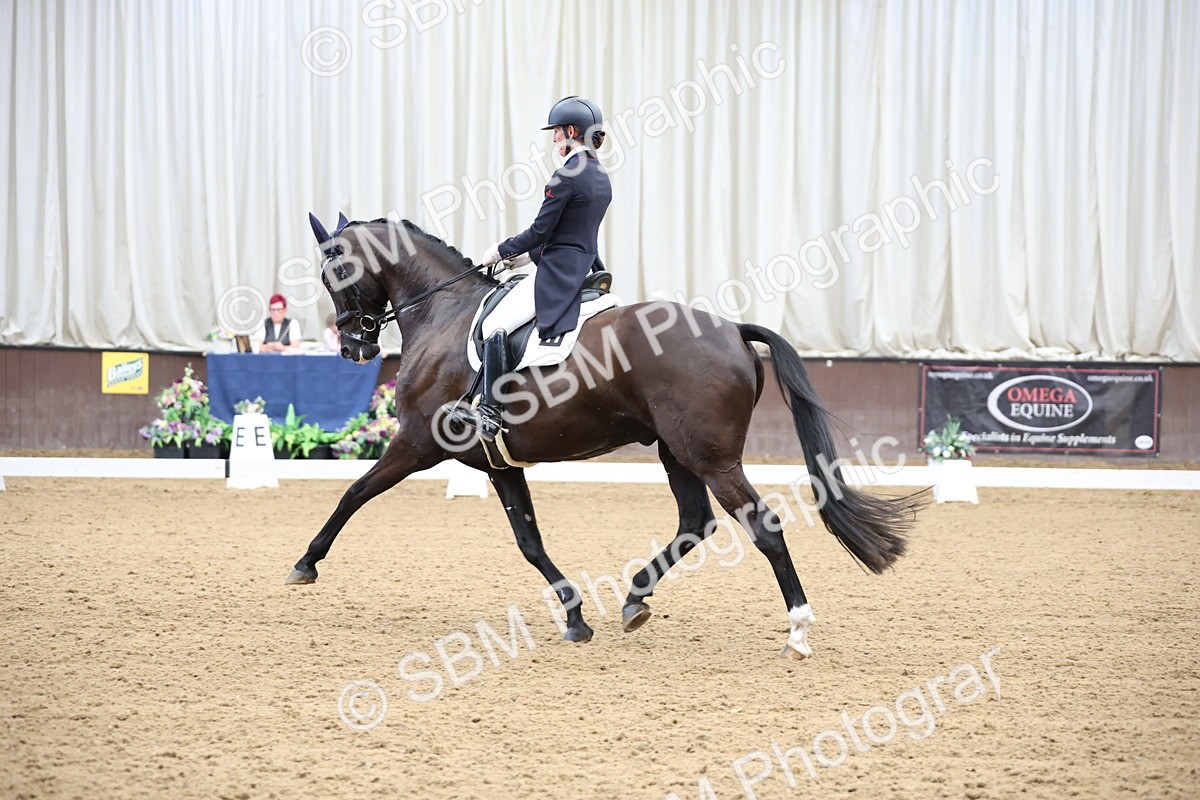 SBM_004505 - Class 9 - FEI Inter 1 Gold - 15.55-16.43