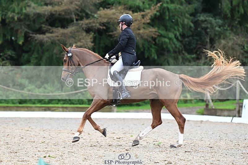 231019-150008-04342 - 059-MINNIE.MANOEUVREZ-Mark.Ford-DR