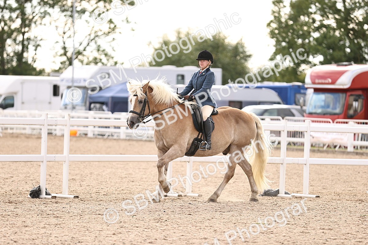 SBM_18198
