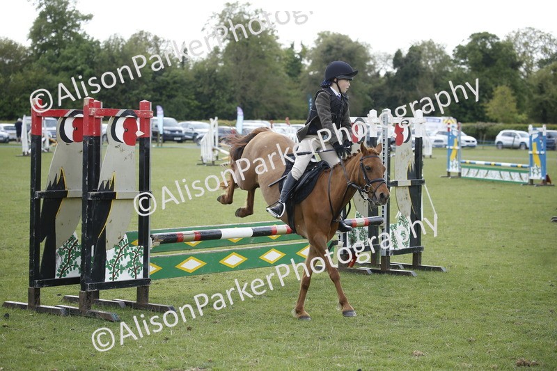 20250427-3736 - Class 14 - Absolute Novice 70cm
