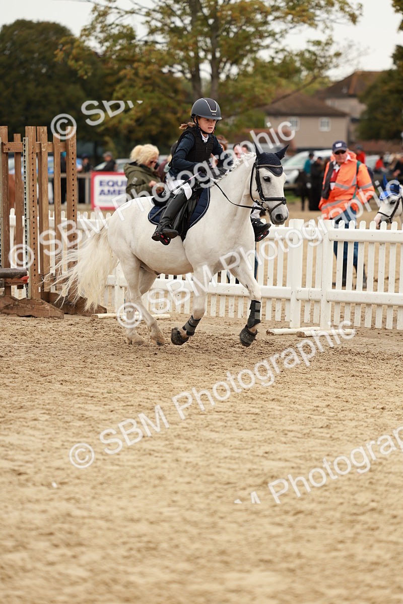 SBM_58045 - J11 - Junior Pony 50cm Championship