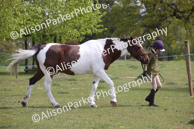 20260426-3277 - Class 27 - Coloured Horses and Ponies