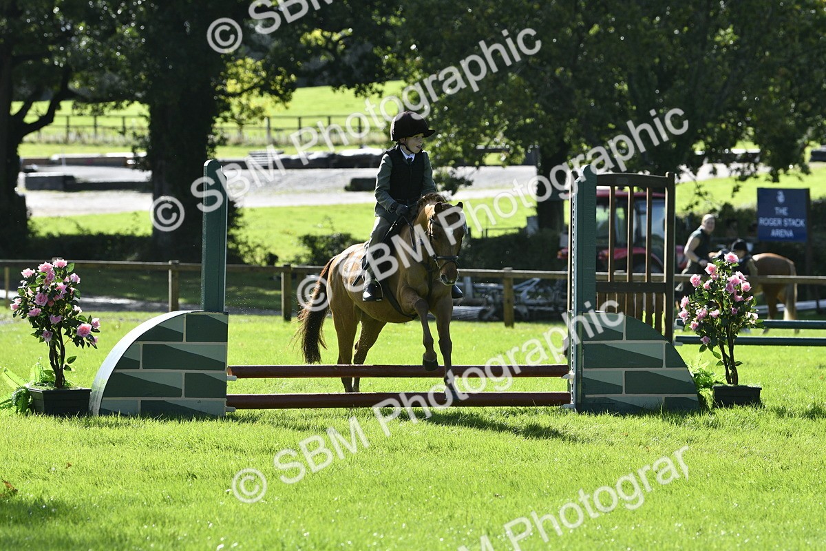 SBM_38173 - S31 - Novice & Newcomer Working Hunter Pony