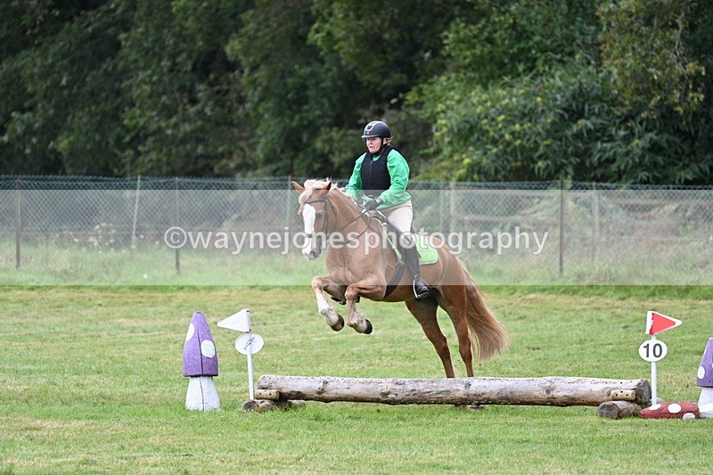 WJ7_7817 - 40cm Time 10:49 to 11:18