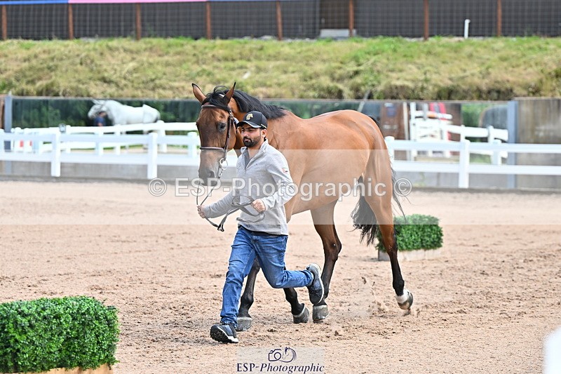 240718A-105255-01331 - Trot Up 12pm to 1pm