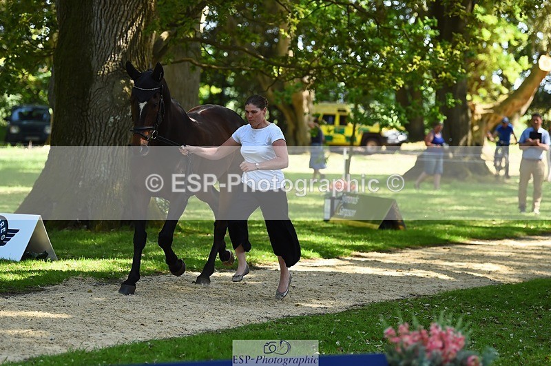 230524-153138-00329 - 353-THE_RIPPER-Bundy_Philpott-WEDTrotUp+DR