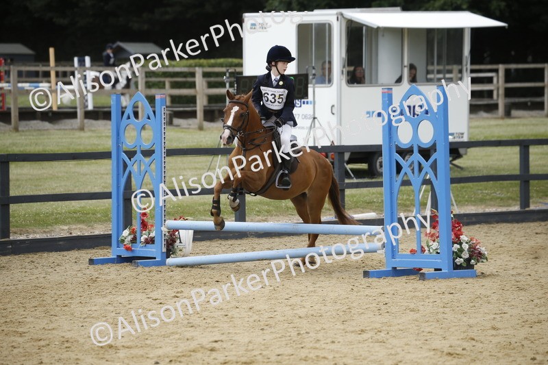 20250622-4005 - 50cm