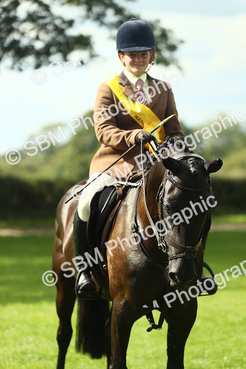 SBM_44971 - Working Hunter Pony Supreme Championship