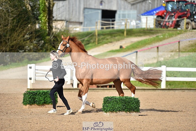 240417A-163238-01247 - 4pm to Finish