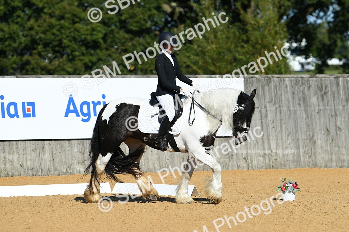 SBM_16271 - D4 - Small Tour Championship - Intro B