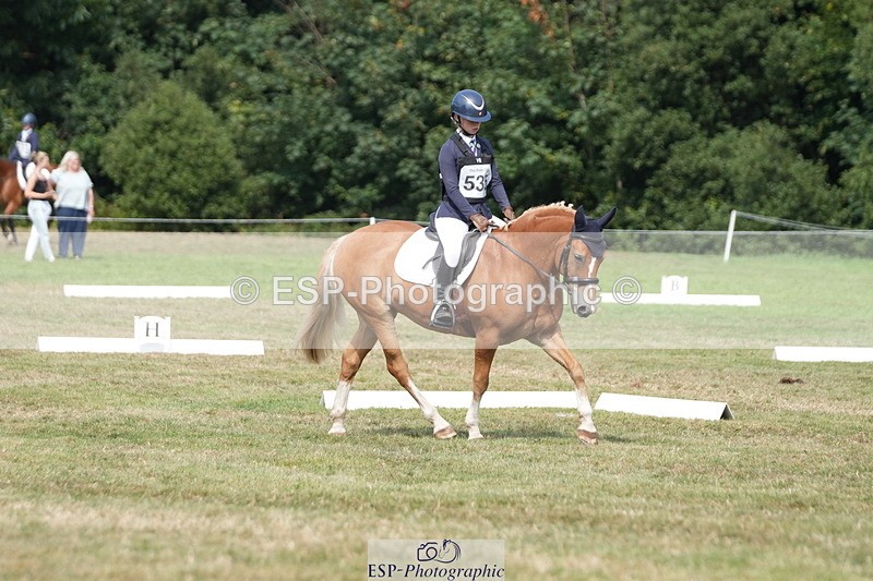 250823A-151547-32252 - PC70 Ride Off