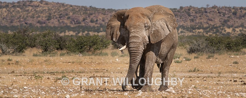  - Namibia