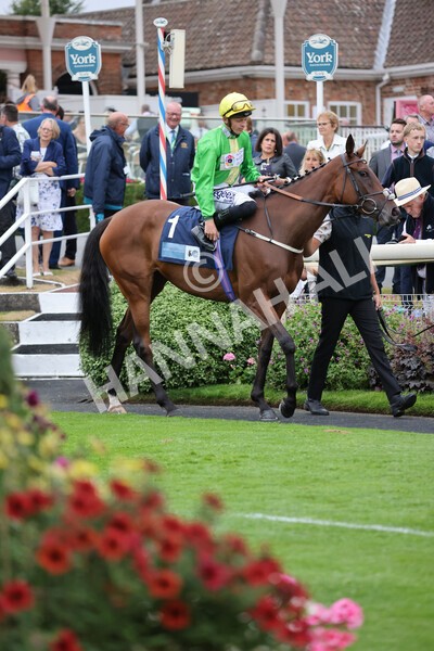 yr22072022r5-5 - Race 5 7.20pm British Stallion Studs EBF Lyric Fillies' Stakes