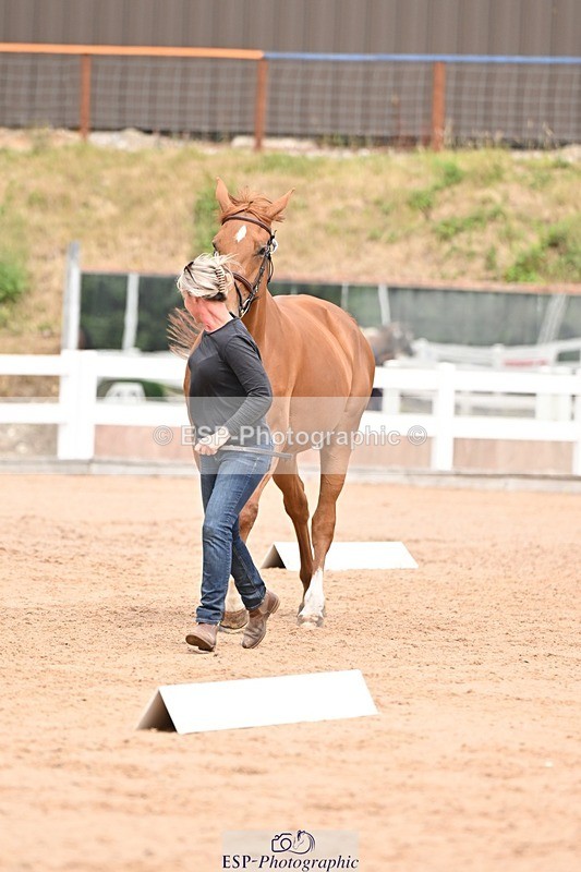 250716-154058-02110 - Trot Up 3.30 to 4.30