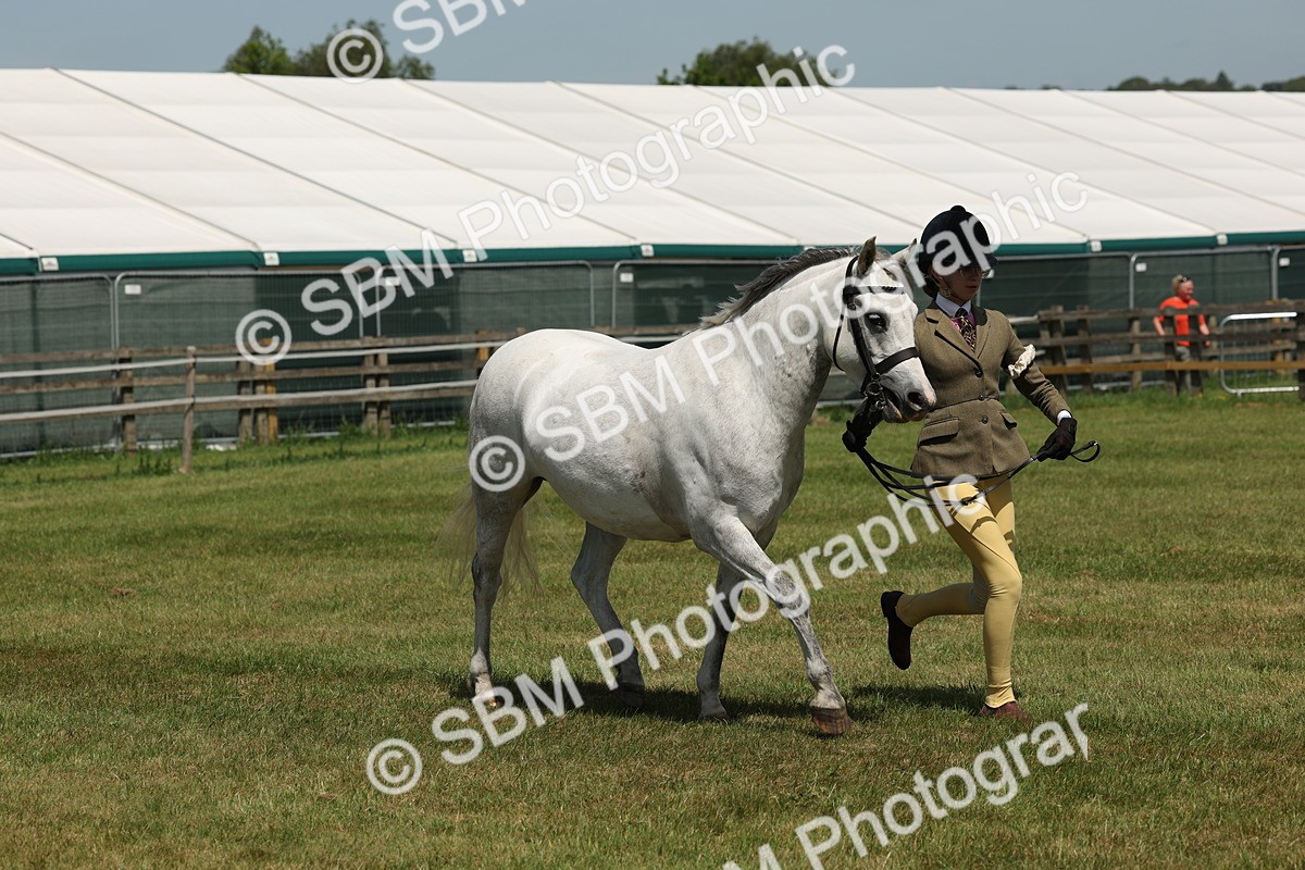SBM_06769 - Class 26-30 - Mountain and Moorland Ridden