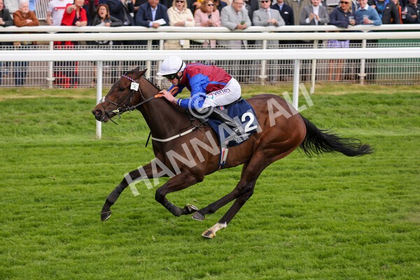 yr13052022r7-44 - Race 7 5.15pm Longines Irish Champions Weekend Stakes