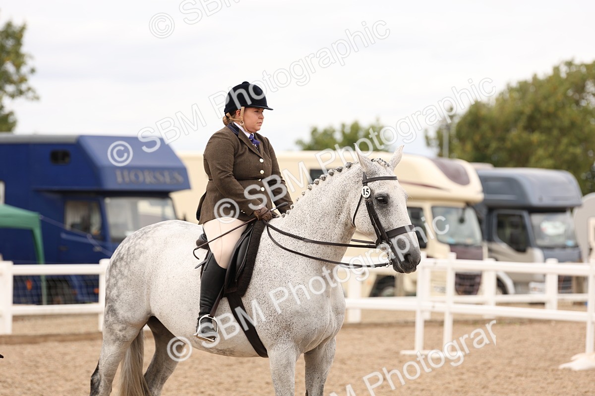 SBM_17261 - Class 213 - Ridden Hunter - Large