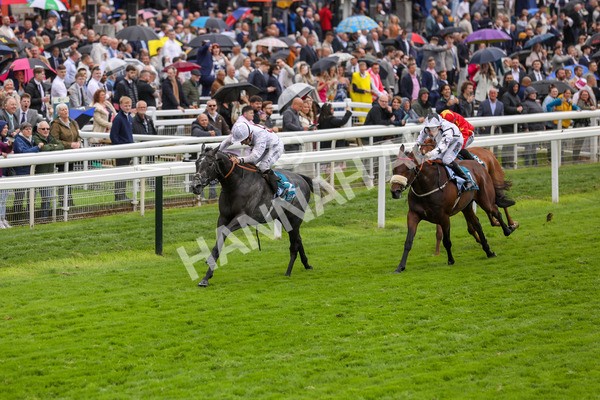 130724-Race 4-Alsakib-2071 - Race 4 3.45pm John Smith's Silver Cup Stakes