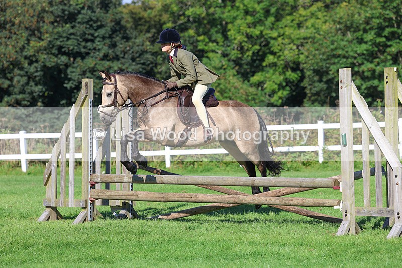3E7A7734 - Class 2: Open Working Hunter pony