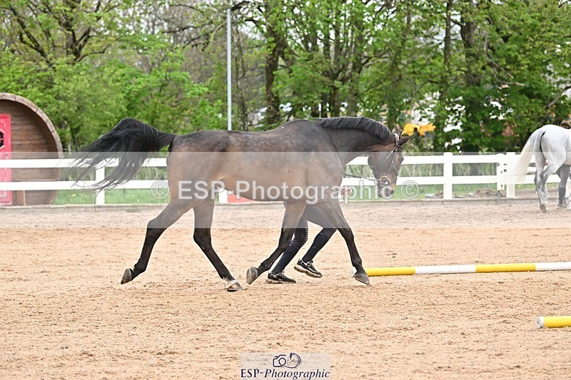 250423-160531-01943 - 4pm to 5pm