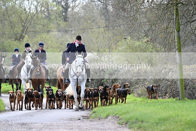 WJ7_9768 - Walk Home