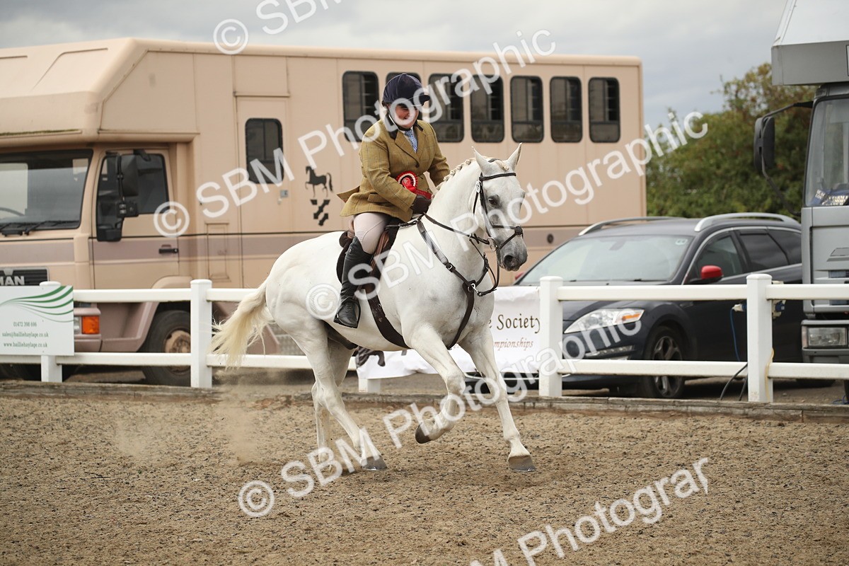 SBM_18481 - Class 510a - Working Veteran 90cm (15-19)