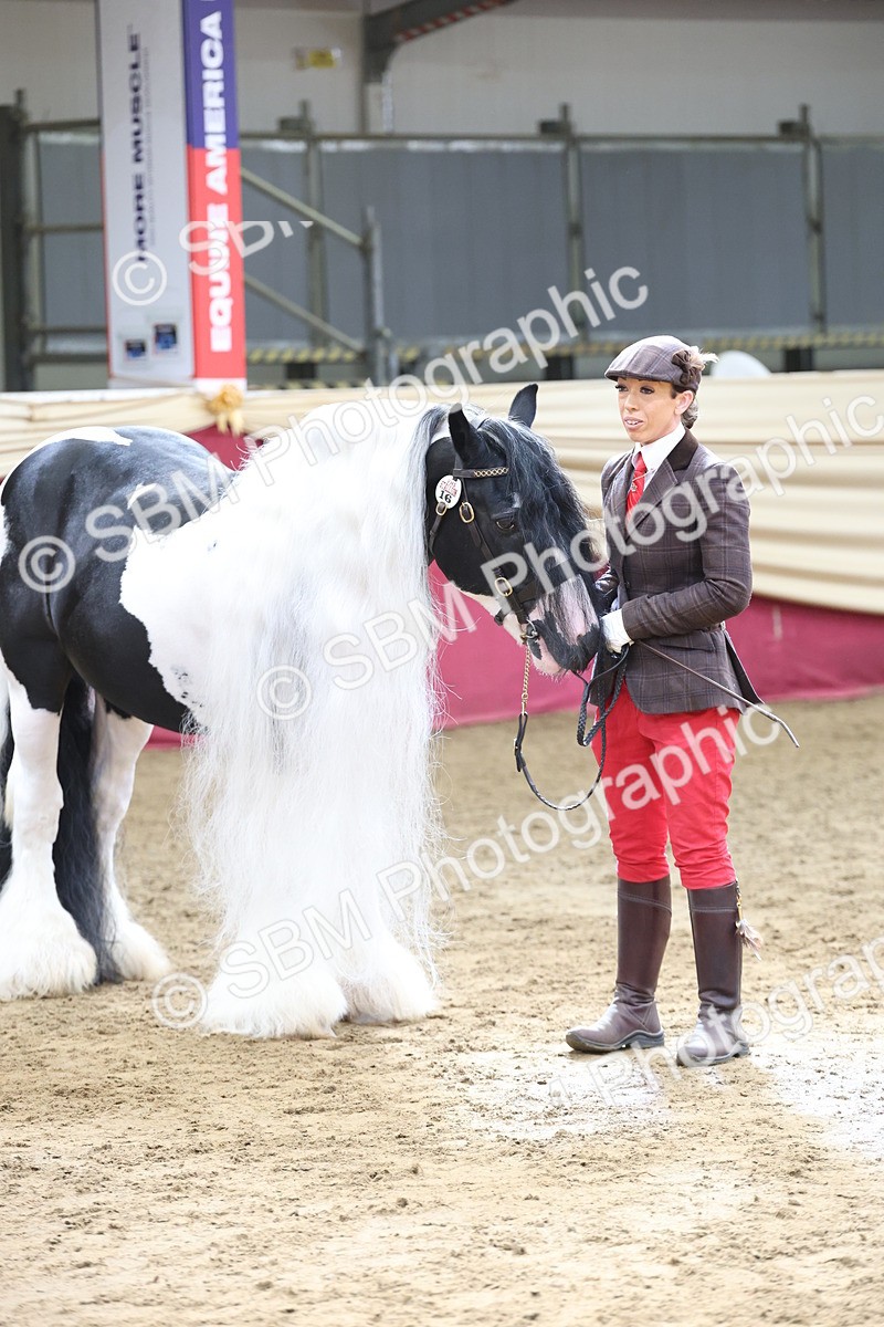 SBM_23357 - Class 903 - Supreme Final - IH Pre Vet