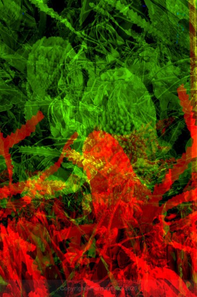 STILL LIFE-CYCLE - STILL LIFE-CYCLE I 2012