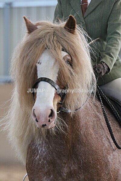 SIAL1900 - Indoor Classes