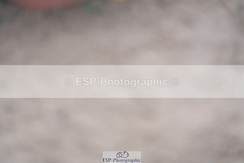 230924A-103730-04990 - 100 SJ Start to 11.00