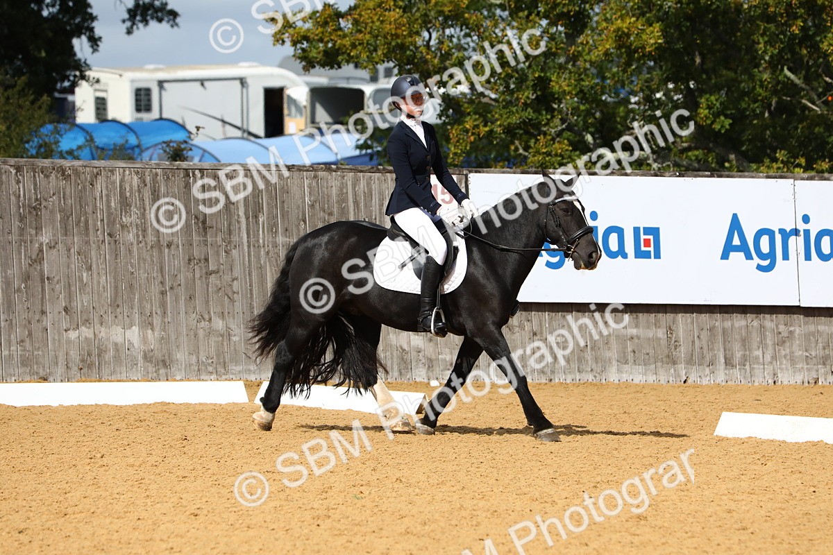 SBM_20833 - D5 - Small Tour Championshop Intro 2