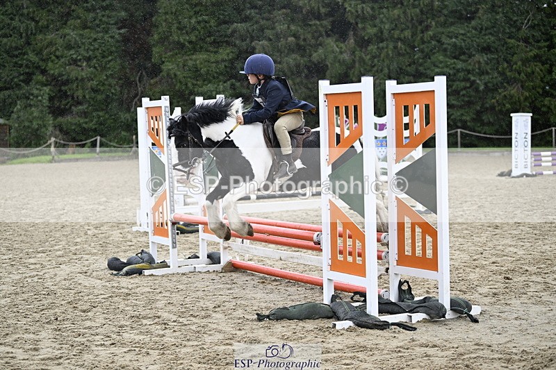 251005A-120206-03585 - Cls 08 Mini 70-75cm