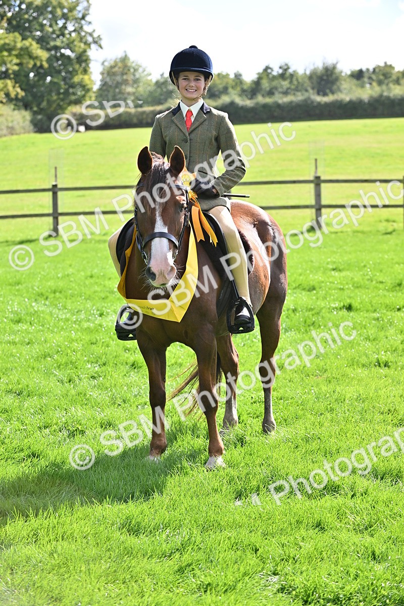 SBM_44592 - S13 - Pony Club Pony