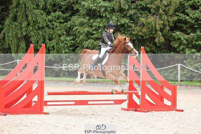 240616-111729-03433 - 60cm