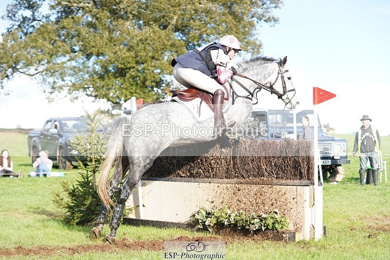 231021-160352-20639 - 553-HARLEQUIN.RABBIT-Althea.Bleekman-SC+XC