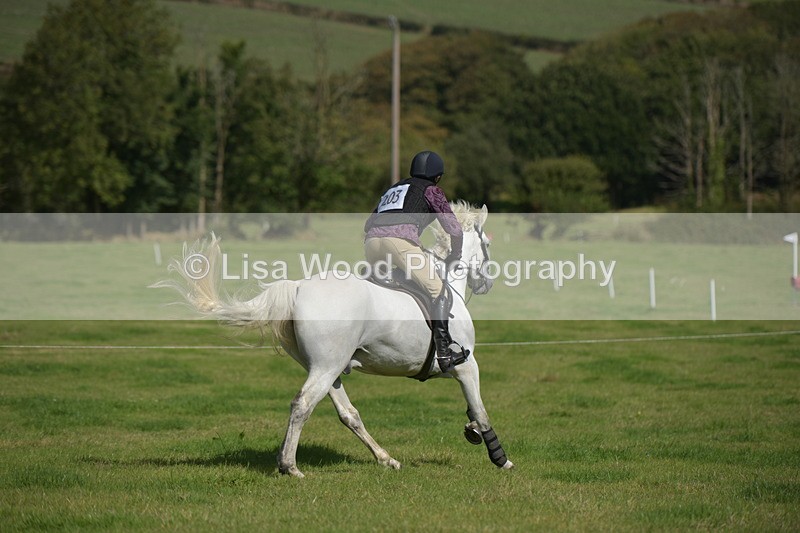 RAY_8622 - Class 2: Trekenning Open: Wall